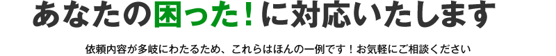 あなたの困った！に対応いたします。依頼内容が多岐にわたるため、これらはほんの一例です！お気軽にご相談ください。